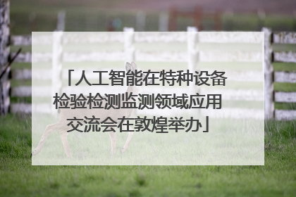 人工智能在特种设备检验检测监测领域应用交流会在敦煌举办