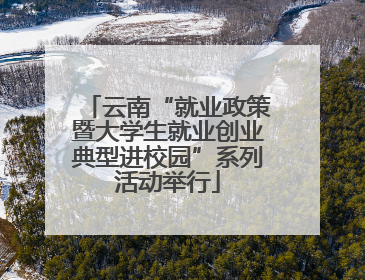 云南“就业政策暨大学生就业创业典型进校园”系列活动举行