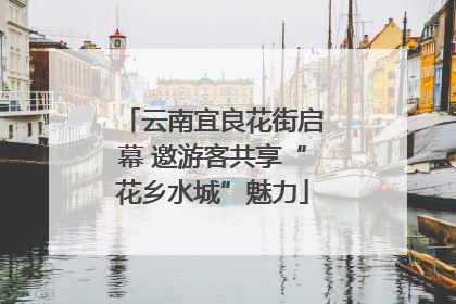 云南宜良花街启幕 邀游客共享“花乡水城”魅力
