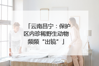 云南昌宁：保护区内珍稀野生动物频频“出镜”