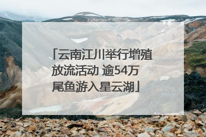 云南江川举行增殖放流活动 逾54万尾鱼游入星云湖