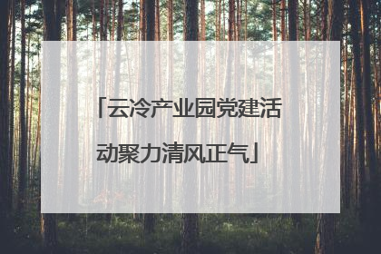 云冷产业园党建活动聚力清风正气