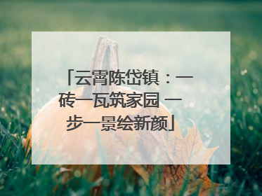 云霄陈岱镇：一砖一瓦筑家园 一步一景绘新颜