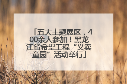 五大主题展区，400余人参加！黑龙江省希望工程“义卖童园”活动举行