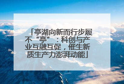 亭湖向新而行步履不“亭”：科创与产业互融互促，催生新质生产力澎湃动能