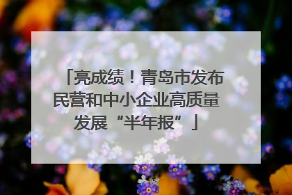 亮成绩！青岛市发布民营和中小企业高质量发展“半年报”