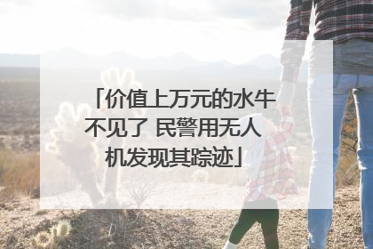 价值上万元的水牛不见了 民警用无人机发现其踪迹