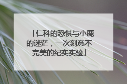 仁科的恐惧与小鹿的迷茫，一次刻意不完美的纪实实验