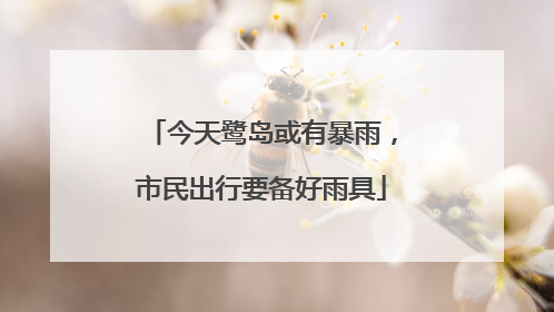 今天鹭岛或有暴雨，市民出行要备好雨具