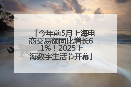 今年前5月上海电商交易额同比增长6.1%！2025上海数字生活节开幕