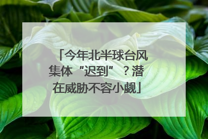 今年北半球台风集体“迟到”？潜在威胁不容小觑