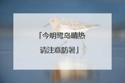 今明鹭岛晴热 请注意防暑