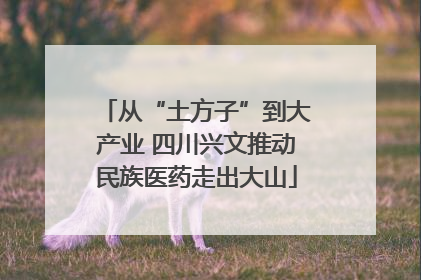 从“土方子”到大产业 四川兴文推动民族医药走出大山