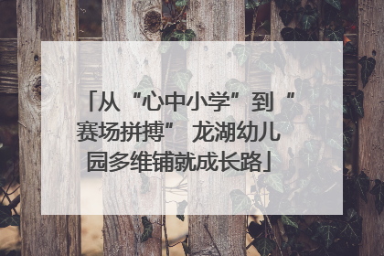 从“心中小学”到“赛场拼搏” 龙湖幼儿园多维铺就成长路