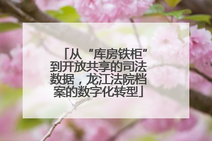 从“库房铁柜”到开放共享的司法数据，龙江法院档案的数字化转型