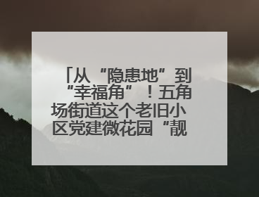 从“隐患地”到“幸福角”！五角场街道这个老旧小区党建微花园“靓”出幸福新图景