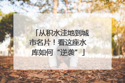 从积水洼地到城市名片！看这座水库如何“逆袭”