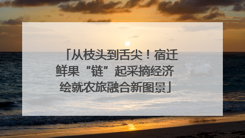 从枝头到舌尖！宿迁鲜果“链”起采摘经济绘就农旅融合新图景