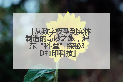 从数字模型到实体制造的奇妙之旅，沪东“科·堂”探秘3D打印科技
