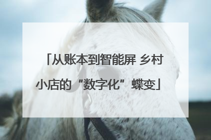 从账本到智能屏 乡村小店的“数字化”蝶变