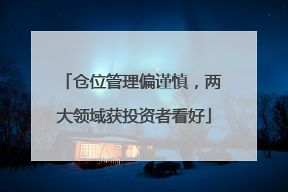 仓位管理偏谨慎，两大领域获投资者看好