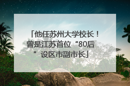 他任苏州大学校长！曾是江苏首位“80后”设区市副市长