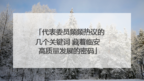 代表委员频频热议的几个关键词 藏着临安高质量发展的密码