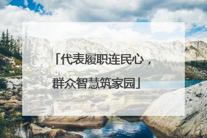 代表履职连民心，群众智慧筑家园