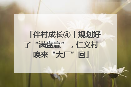 伴村成长④丨规划好了“满盘赢”，仁义村唤来“大厂”回