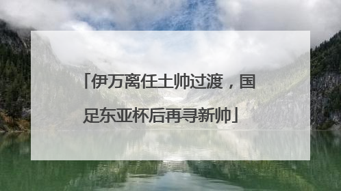 伊万离任土帅过渡，国足东亚杯后再寻新帅