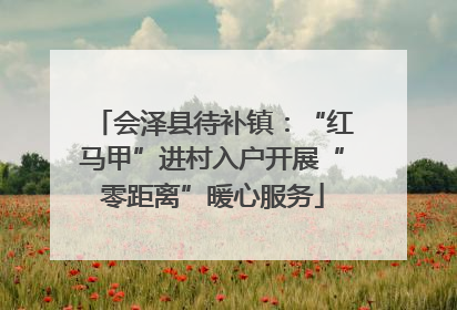 会泽县待补镇：“红马甲”进村入户开展“零距离”暖心服务