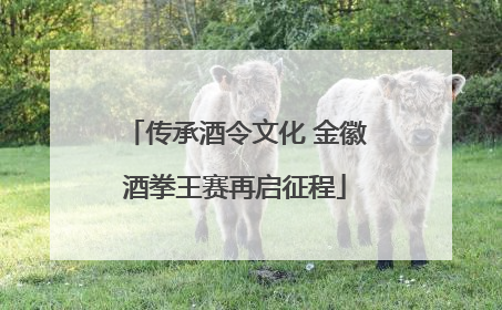 传承酒令文化 金徽酒拳王赛再启征程