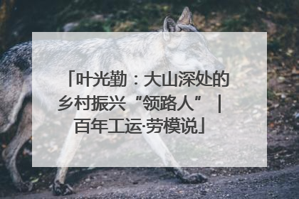 叶光勤：大山深处的乡村振兴“领路人”｜百年工运·劳模说