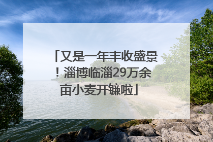 又是一年丰收盛景！淄博临淄29万余亩小麦开镰啦