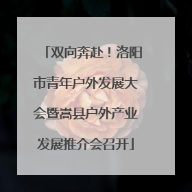 双向奔赴！洛阳市青年户外发展大会暨嵩县户外产业发展推介会召开
