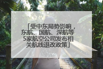 受中东局势影响，东航、国航、深航等5家航空公司发布相关航线退改政策