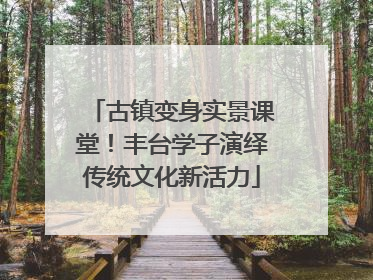 古镇变身实景课堂！丰台学子演绎传统文化新活力