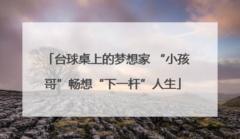 台球桌上的梦想家 “小孩哥”畅想“下一杆”人生