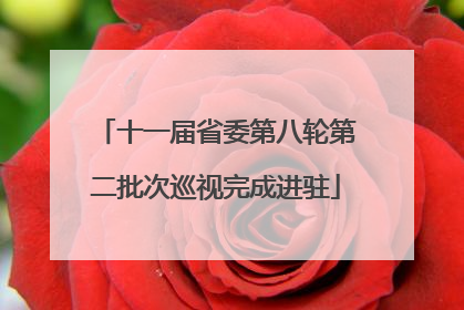 十一届省委第八轮第二批次巡视完成进驻