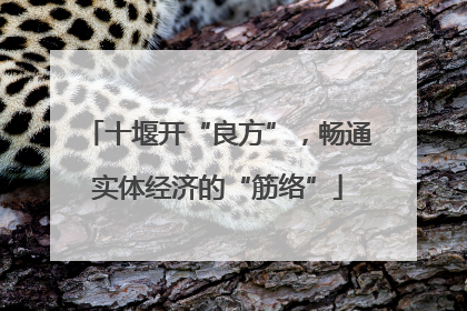 十堰开“良方”，畅通实体经济的“筋络”