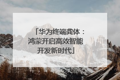 华为终端龚体：鸿蒙开启高效智能开发新时代