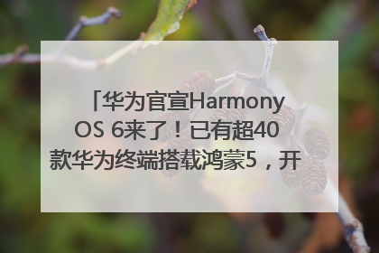 华为官宣HarmonyOS 6来了！已有超40款华为终端搭载鸿蒙5，开发者突破800万