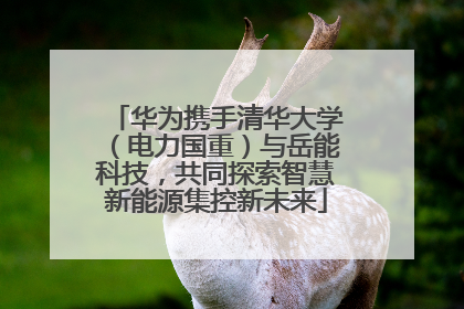 华为携手清华大学（电力国重）与岳能科技，共同探索智慧新能源集控新未来