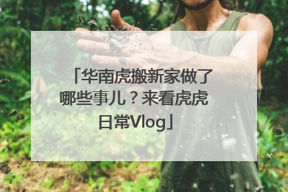 华南虎搬新家做了哪些事儿？来看虎虎日常Vlog