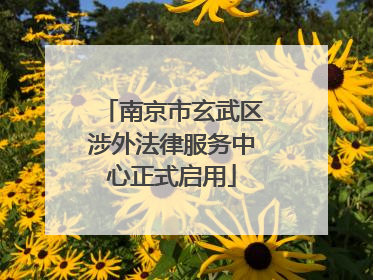 南京市玄武区涉外法律服务中心正式启用