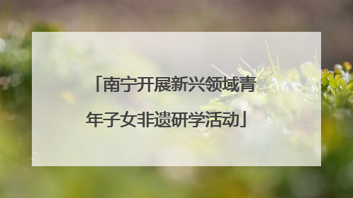 南宁开展新兴领域青年子女非遗研学活动