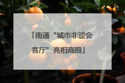 南通“城市非遗会客厅”亮相商圈