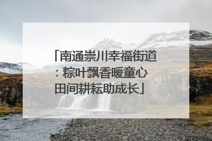 南通崇川幸福街道：粽叶飘香暖童心 田间耕耘助成长