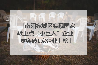 南阳宛城区实现国家级重点“小巨人”企业零突破1家企业上榜
