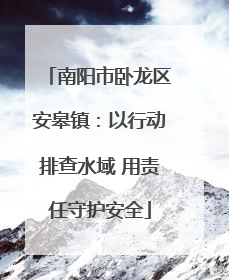 南阳市卧龙区安皋镇：以行动排查水域 用责任守护安全